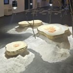 L'installazione di Bianca Bondi & Guillaume Bouisset è realizzata con terra, sale e alobatteri provenienti dalle saline della Camargue